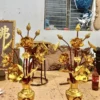 hoa sen gỗ mít rát vàng
