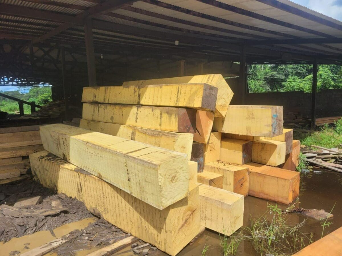 Gỗ Mít Ta Và Gỗ Mít Nhập: Khác Gì Khi Làm Đồ Thờ? 2 Phôi gỗ được bán dưới tên “mít nhập”; cần kiểm tra độ khô, thớ và quy cách thực tế.